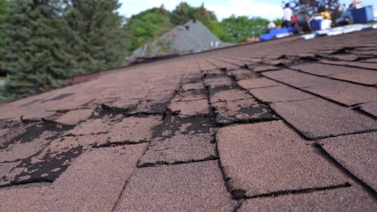 Roof Coating Services in Winchester, OH