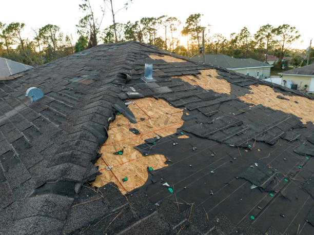 Best Solar Panel Roofing Installation  in Winchester, OH
